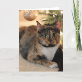 Calico Kat onder de kerstboom Feestdagen Kaart