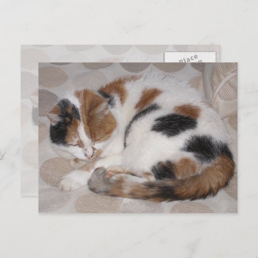 Calico-kat op bed briefkaart (Voorkant / Achterkant)