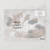 Calico-kat op bed briefkaart (Achterkant)