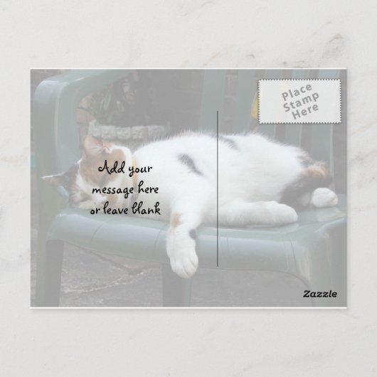 Calico-kat op een stoel briefkaart (Achterkant)