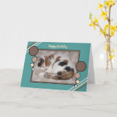 Calico kat opgerold in slaap foto bruin turquoise kaart (Gele Bloem)