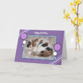 Calico kat opgerold in slaap foto paarse blauw kaart (Gele Bloem)