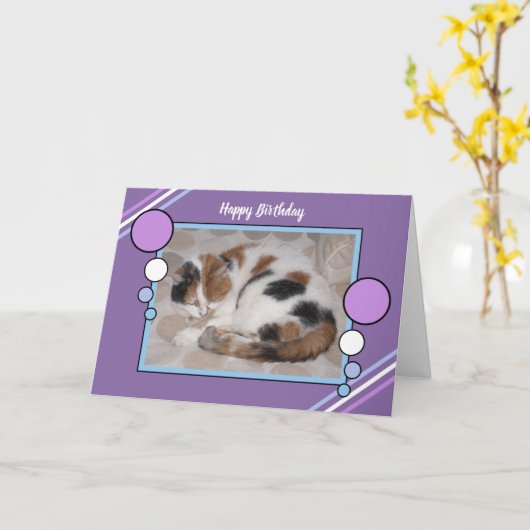 Calico kat opgerold in slaap foto paarse blauw kaart (Gele Bloem)