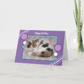 Calico kat opgerold in slaap foto paarse blauw kaart (Voorkant)