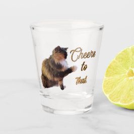 Calico Kat Schudt hem? Shot Glas