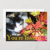 Calico Kat Thanksgiving Initatie Voor Diner Kaart (Voorkant / Achterkant)