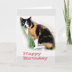 Calico kat Verjaardag Kaart