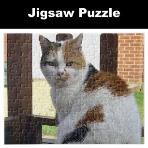 Calico-kat zit op het decoderen legpuzzel