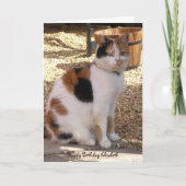 Calico kat zitten in de tuin Verjaardag Kaart (Voorkant)