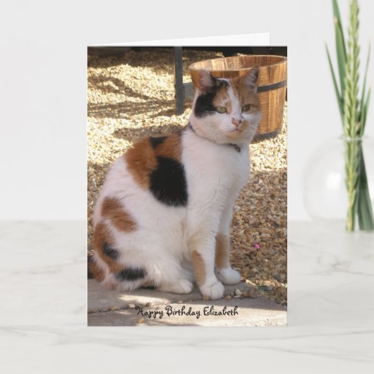 Calico kat zitten in de tuin Verjaardag Kaart (Voorkant)