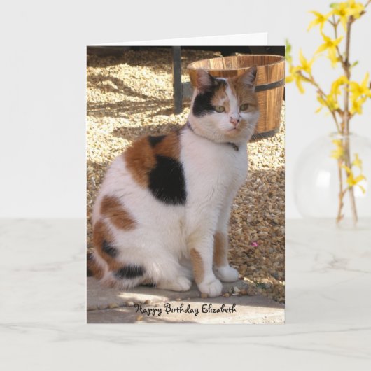 Calico kat zitten in de tuin Verjaardag Kaart (Gele Bloem)