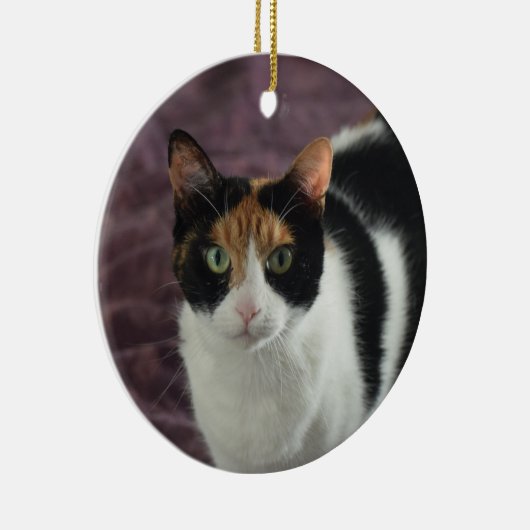 Calico-kattenversiering Keramisch Ornament (Rechts)