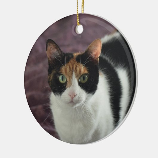 Calico-kattenversiering Keramisch Ornament (Links)