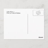 Calico Kitten, 1 Briefkaart (Achterkant)