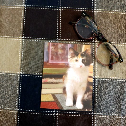 Calico Kitten Briefkaart