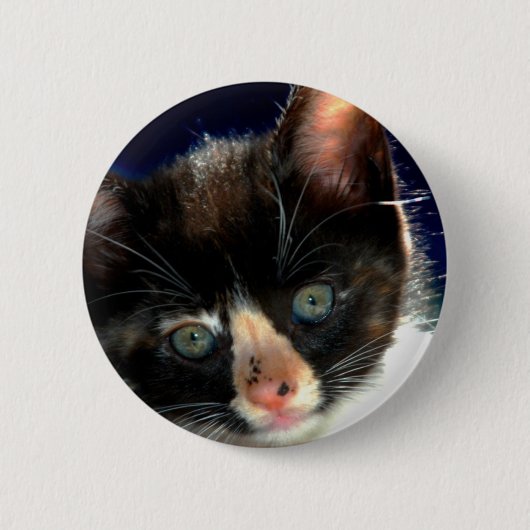 Calico Kitten Button (Voorkant)