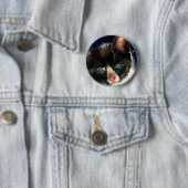 Calico Kitten Button (In situ)