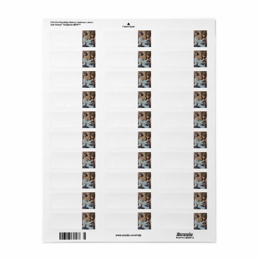 Calico kitten etiket (Full Sheet)