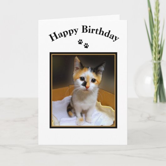 Calico Kitten Happy Birthday Kaart (Voorkant)