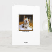 Calico Kitten Happy Birthday Kaart (Achterkant)