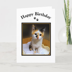 Calico Kitten Happy Birthday Kaart