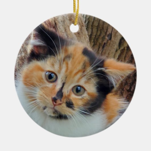 Calico kitten keramisch ornament (Voorkant)