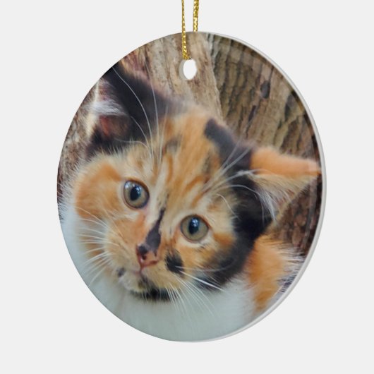 Calico kitten keramisch ornament (Links)