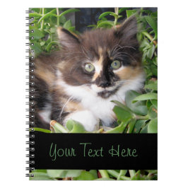 Calico Kitten-laptop Notitieboek