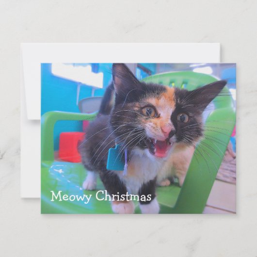Calico kitten Meowy Bedankkaart (Voorkant)