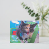 Calico kitten Meowy Bedankkaart (Staand voorkant)