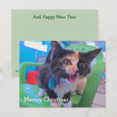 Calico kitten Meowy Bedankkaart (Voorkant / Achterkant)