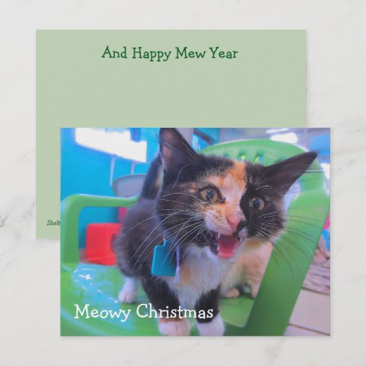 Calico kitten Meowy Bedankkaart (Voorkant / Achterkant)