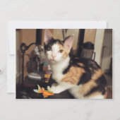 Calico Kitten met viscadeau voor je platte Kaart (Voorkant)