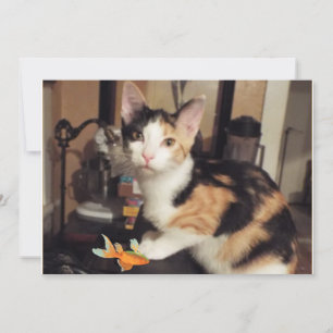 Calico Kitten met viscadeau voor je platte Kaart