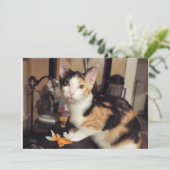 Calico Kitten met viscadeau voor je platte Kaart (Staand voorkant)