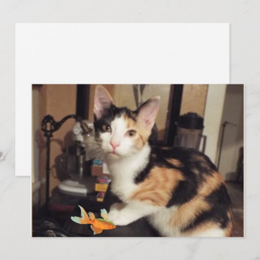 Calico Kitten met viscadeau voor je platte Kaart (Voorkant / Achterkant)