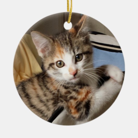 Calico Kitten Ornament (Voorkant)