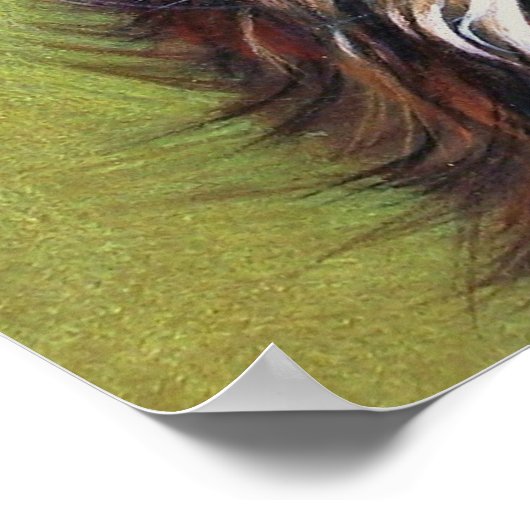 Calico kitten poster (Hoek)