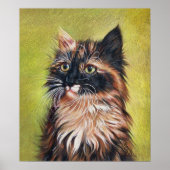 Calico kitten poster (Voorkant)