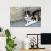 Calico Kitten Poster (Thuiskantoor)