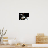 Calico Kitten Poster (Keuken)