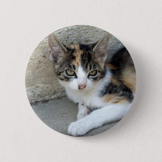 Calico Kitten Ronde Button 5,7 Cm (Voorkant)