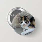 Calico Kitten Ronde Button 5,7 Cm (Voorkant /achterkant)