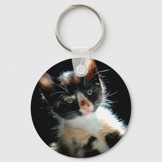 Calico Kitten Sleutelhanger (Voorkant)