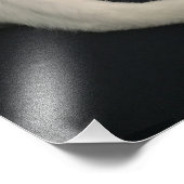 Calico kitty cat foto afdruk (Hoek)