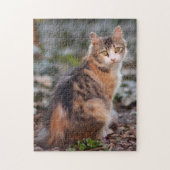 Calico Kitty Cat Legpuzzel (Verticaal)