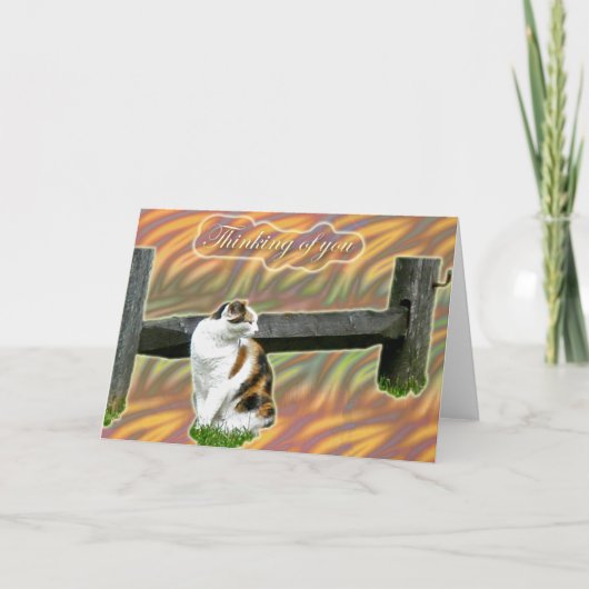 Calico Kitty Cat Thinking of You Kaart (Voorkant)