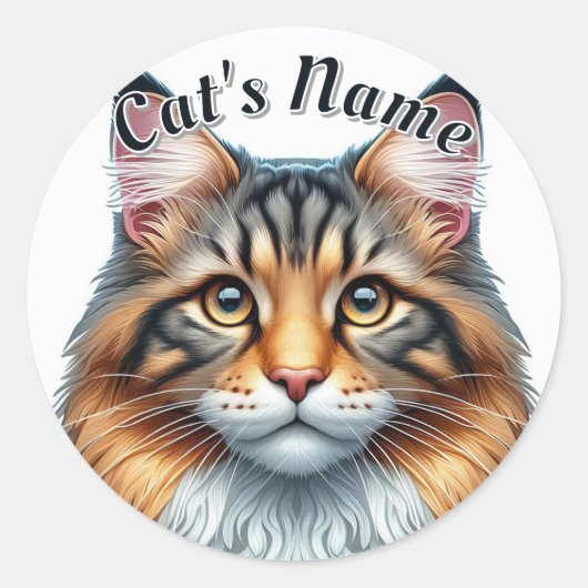  Calico langharige kat plus naam Ronde Sticker (Voorkant)