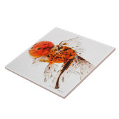 Calico lionhead goudvis (Carassius auratus) Tegeltje (Zijkant)