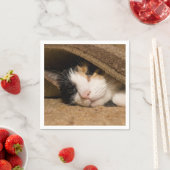 Calico onder de riem servet (Insitu)